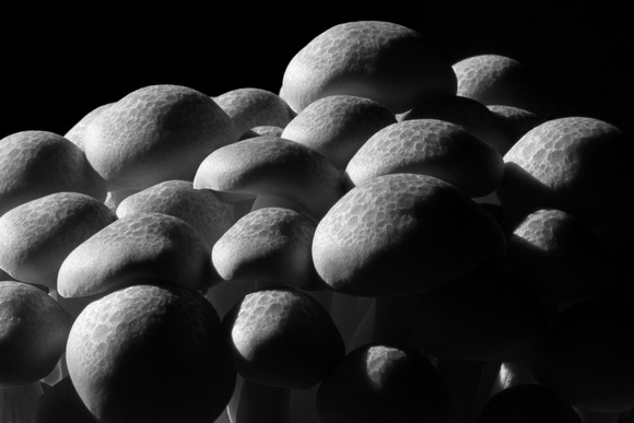 More Beech Mushrooms
